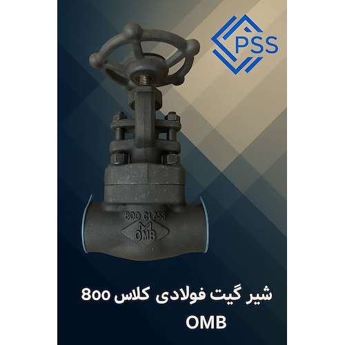 «شیر گیت ولو فولادی کلاس ۸۰۰ OMB با طراحی Bolted Bonnet و بدنه‌ی A105، عملکرد عالی و دوام بالا در سرویس‌های نفت و گاز.»